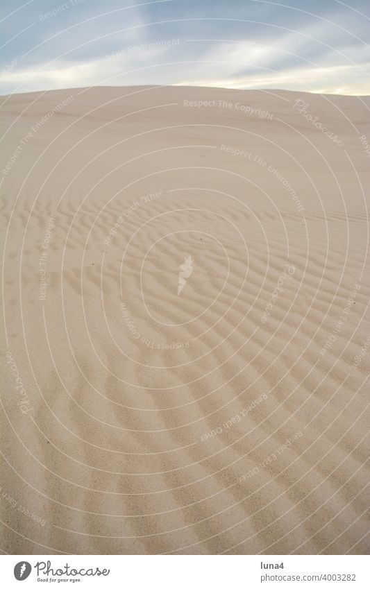 Wanderdüne in Leba Düne Sanddüne Polen Wüste sandig Himmel bewölkt dramatisch Hintergrund abstrakt Oberfläche Muster Textur Tourismus Reisen Reiseziel Urlaub