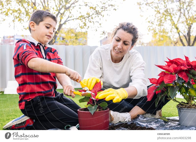 Mutter und Sohn im Garten Blumen pflanzen schön Blütezeit Botanik Junge Pflege Kaukasier heiter Kind Kindheit Bodenbearbeitung Tochter Ökologie zu erklären.