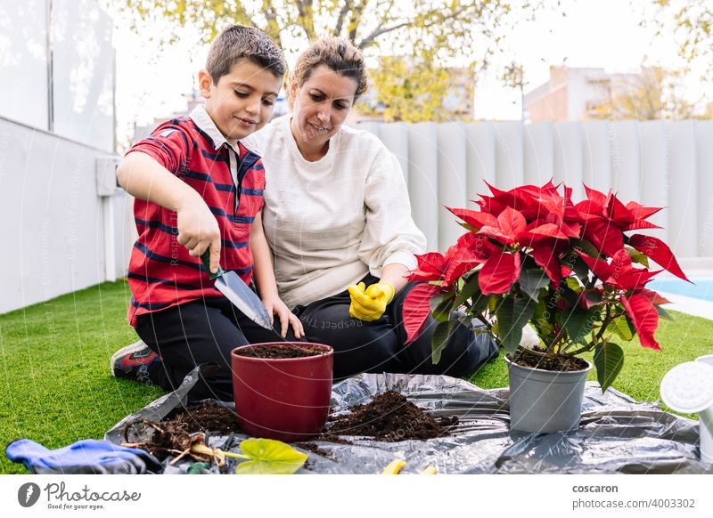 Mutter und Sohn im Garten Blumen pflanzen schön Blütezeit Botanik Junge Pflege Kaukasier heiter Kind Kindheit Bodenbearbeitung Tochter Ökologie zu erklären.