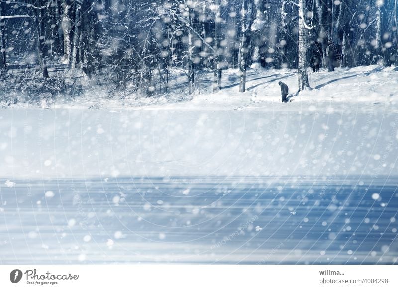 Ein kalter Wintertag mit Schneeflocken, einsamer Mensch im Hintergrund Schneegestöber Schneefall Schneetreiben Winterwald Winterstimmung schneien winterlich