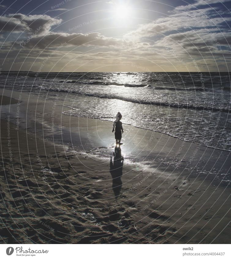 Jugend philosophiert Strand leuchtend Sonne Gegenlicht Wasser Sand Kind Junge Silhouette Schatten Kontrast stehen staunen 3-4 Jahre Wellen einsam Kapuze