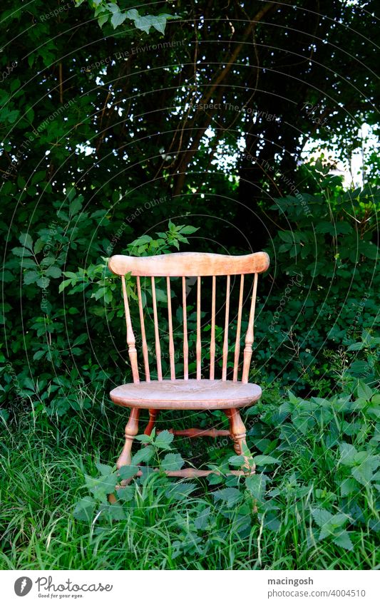 Alter, rustikaler Holzstuhl steht in einem Gebüsch Stuhl bauernmöbel alt schäbig shabby überwachsen Natur überwuchern renaturierung abfall grün entsorgung