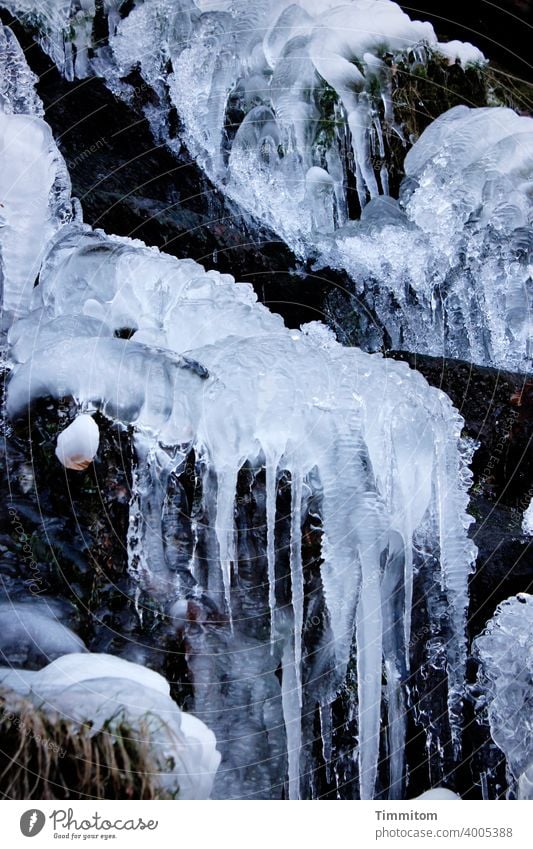 Mit Eis, bitte. Eiszapfen kalt Winter Wasserfall gefroren Frost blau weiß Menschenleer