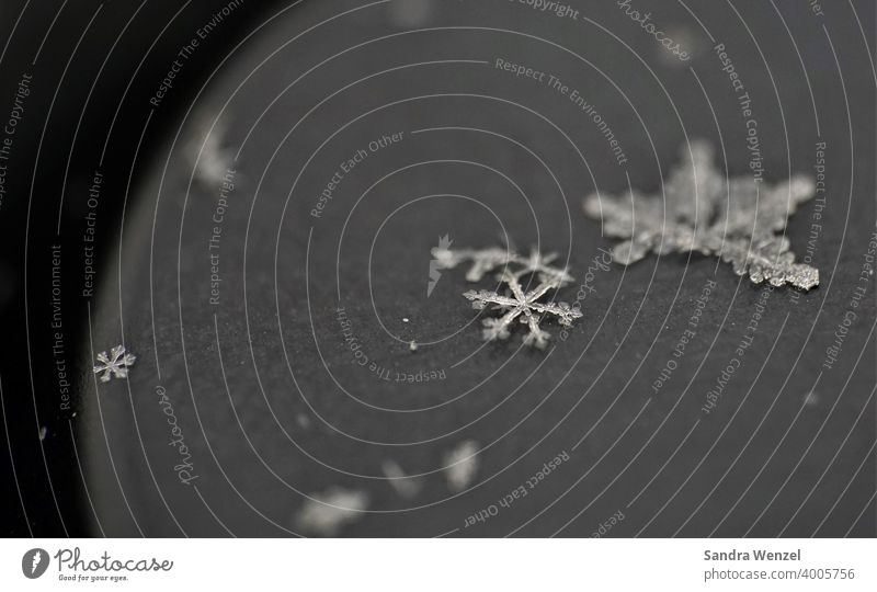 Schneeflocke Eiskristall Winter macro shot Makroaufnahme Schneefall einzigartig