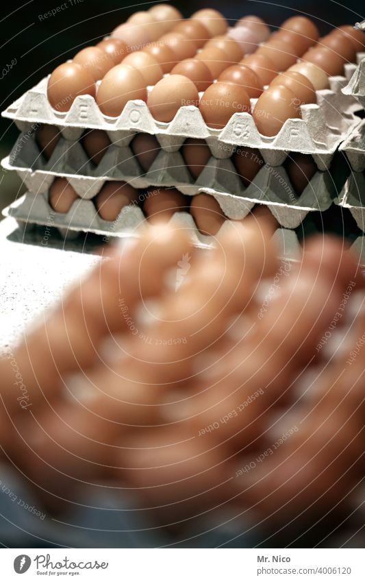 Eier in Kartons eier Eierkarton Ostern Lebensmittel Ernährung Eierschale Hühnerei Biobauer Pappkarton Stapel Handel Wochenmarkt Markt gestapelt Braun Bauer