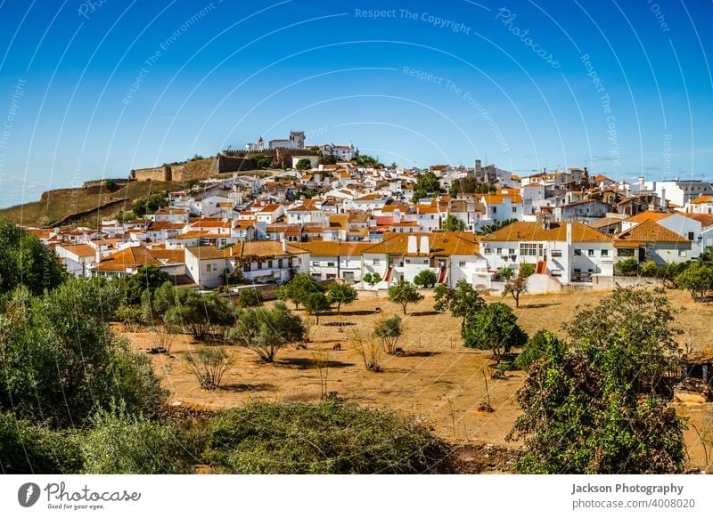 Stadtbild der historischen Stadt Estremoz, Alentejo. Portugal estremoz Großstadt Dorf grün Textfreiraum blau Himmel mittelalterlich Wand Häuser Haus Architektur