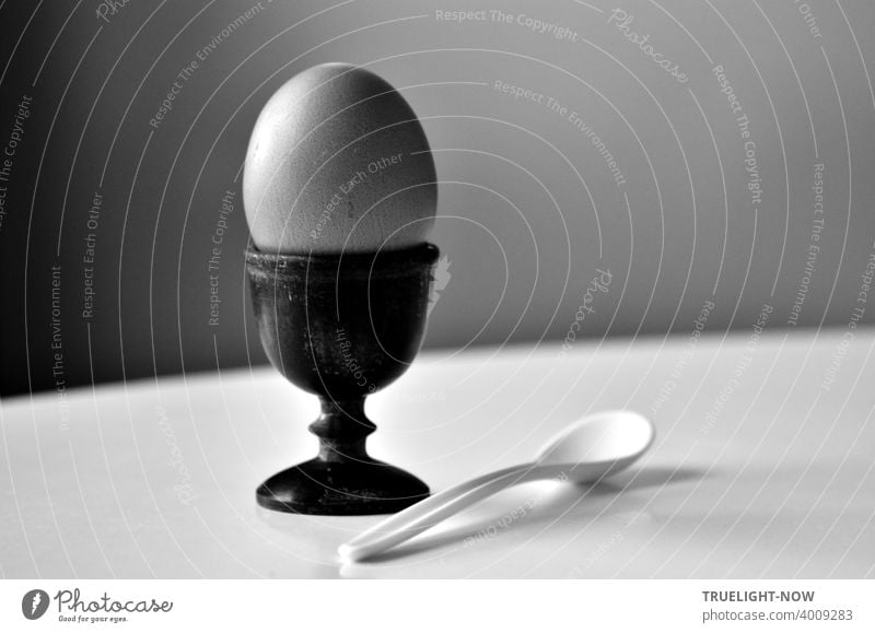 Ungesund | ...oder gesund? Das dicke Bio Frühstücks Ei ruht in seiner natürlich schönen Perfektion gelassen in einem Holz Eierbecher neben dem weißen Eierlöffel auf weißem Tisch vor Grau, vielleicht eine Frühstücks Meditation?