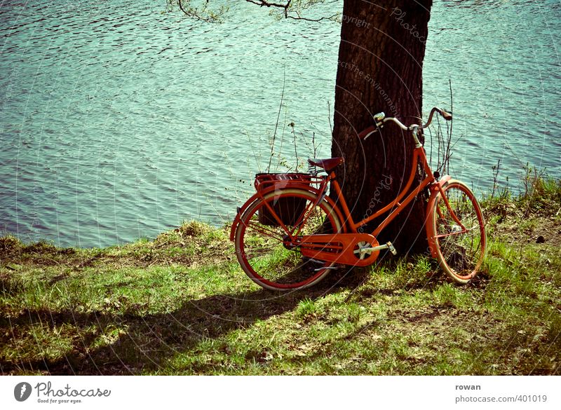 pause Fahrradfahren Wärme rot Baum Baumstamm Damenfahrrad Pause anlehnen Fluss Flussufer See Seeufer Küste Sonne Sonnenlicht Sommer sommerlich Fahrradtour