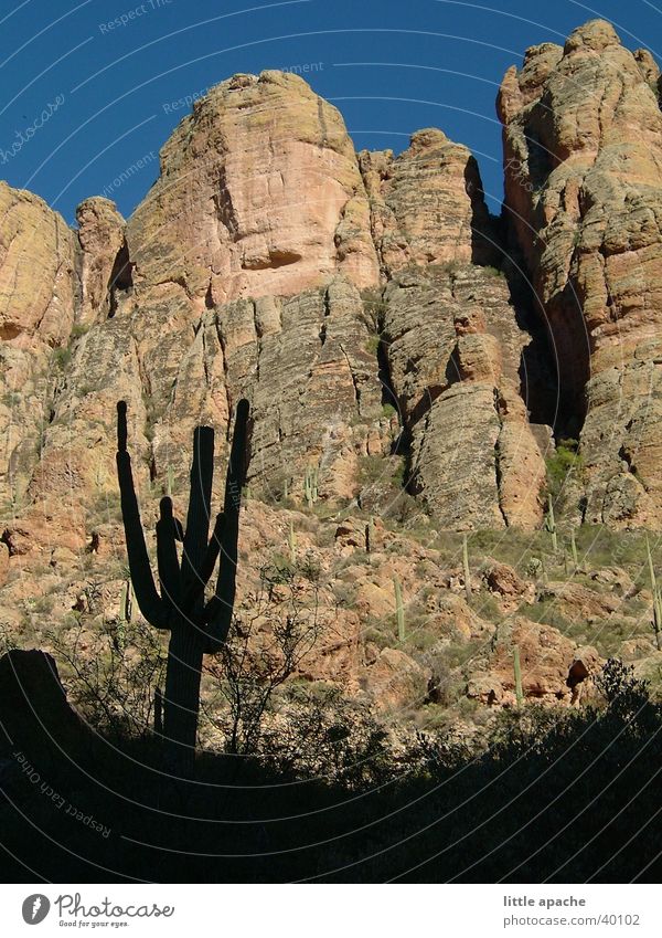 Apache Trail Arizona Kaktus Abenddämmerung Indianer Western Cowboy Berge u. Gebirge USA Felsen Stein Schatten
