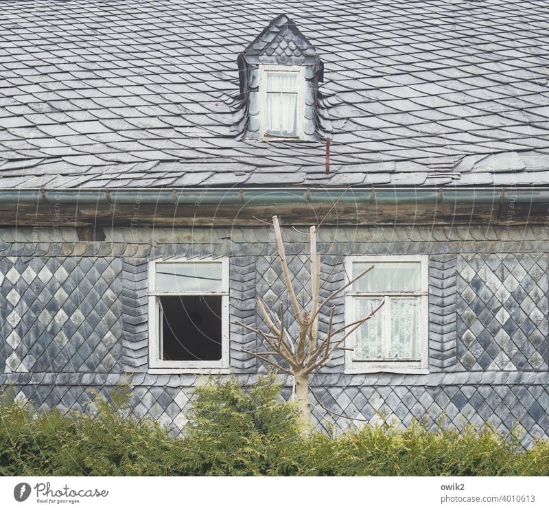 Durchatmen Haus schiefer schieferwand Fenster Menschenleer Farbfoto Gebäude Schiefer Fassade Muster Wand Außenaufnahme dekorativ Detailaufnahme Architektur Baum