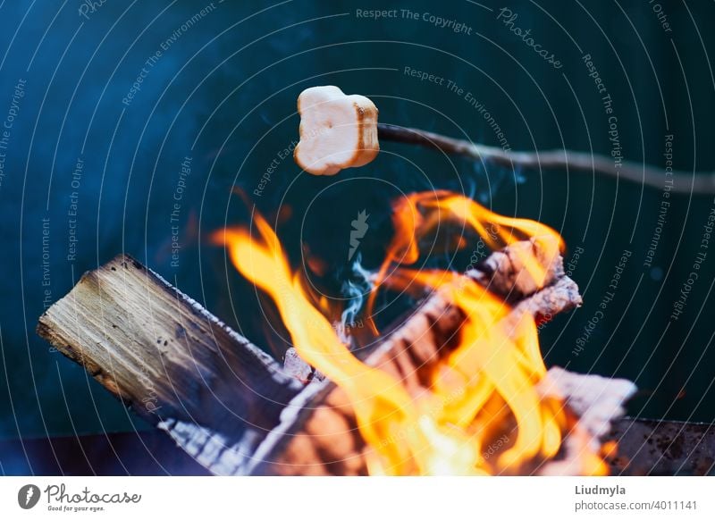 Marshmallow rösten über den Feuerflammen. Marshmallow am Spieß auf dem Lagerfeuer geröstet Abenteuer Hintergrund Barbecue Freudenfeuer Bonbon zäh Nahaufnahme