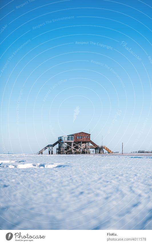 Pfahlbauten von St. Peter-Ording im Winter Sankt Peter-Ording Küste Nordsee Schnee Eis kalt Strand Außenaufnahme Meer Himmel Ferne Landschaft Einsamkeit
