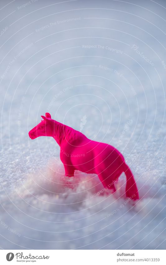 Pinkes Spielzeug Pferd im Schnee Neon pink Radiergummi Tier draußen bedeckt Schneelandschaft Schneedecke Winter alleine kalt weiß Natur Außenaufnahme neonfarbig
