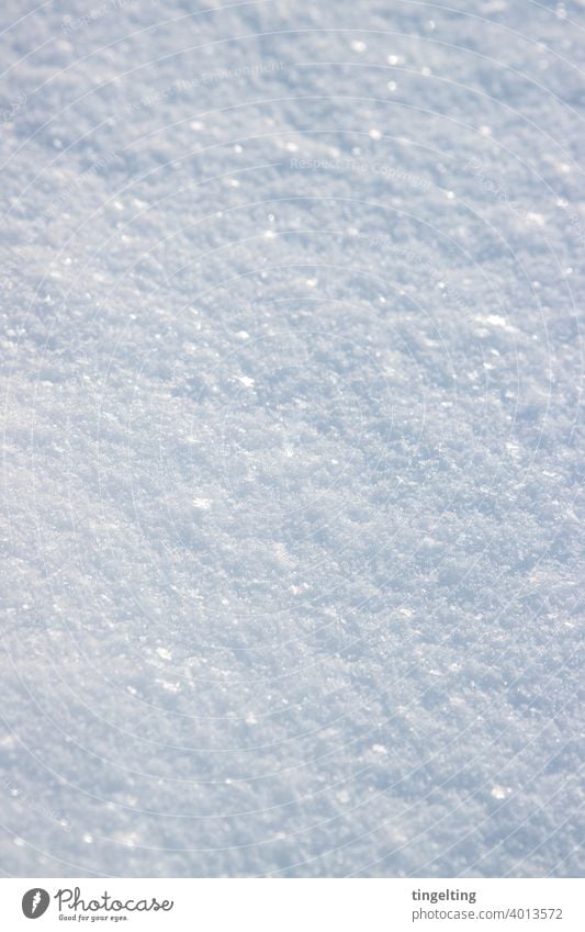Glitzernder Schnee schnee schneeflocken schneekristall kristalle wetter winter boden oberfläche viel weiß natur magisch glitzer glitzernd nahaufnahme