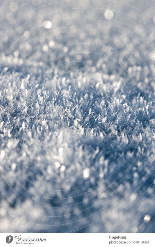 Eiskristalle schnee schneeflocken schneekristall wetter winter boden oberfläche viel weiß natur magisch glitzer glitzernd nahaufnahme hintergrund textfreiraum