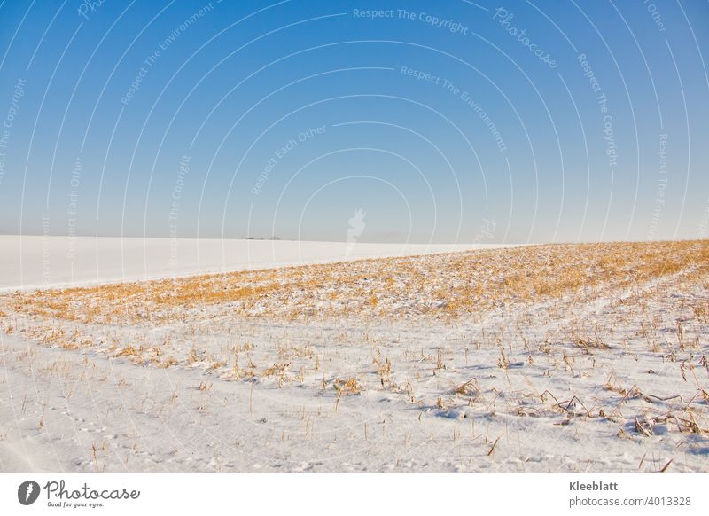 Winter auf dem Feld. Kahle Stoppelfelder mit Schneedecke und tiefblauer Winterhimmel Kahle Felder kalt Außenaufnahme Landschaft Natur Menschenleer Umwelt Frost