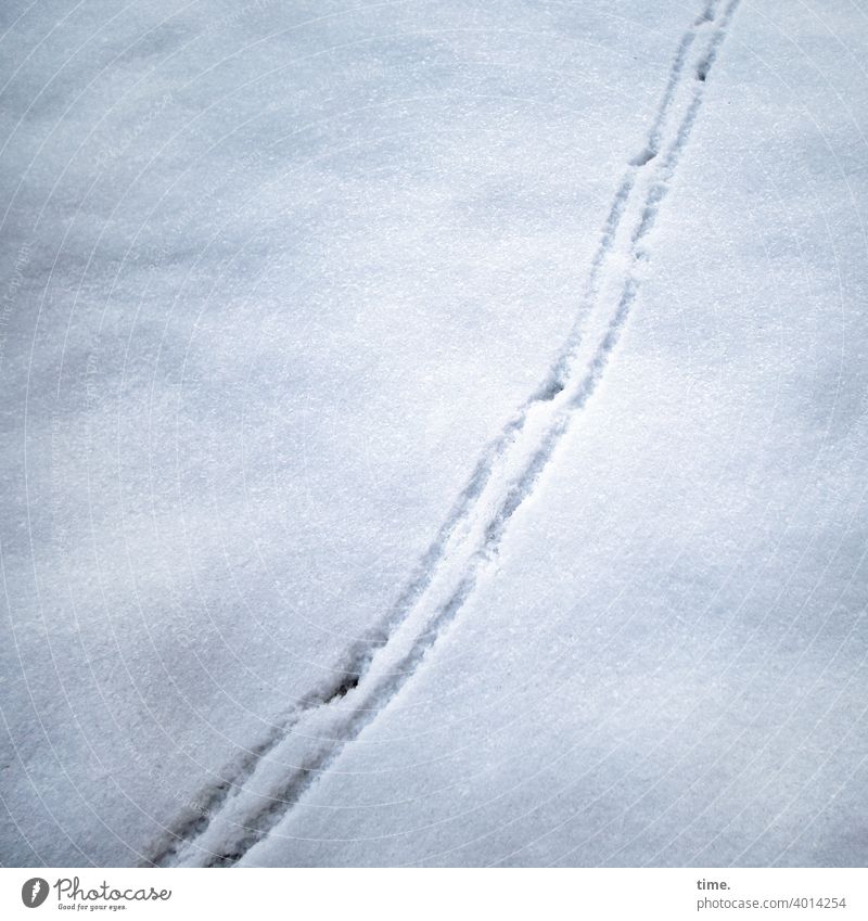 Lebenslinien #143 schnee spur abdruck diagonal parallel Vogelperspektive