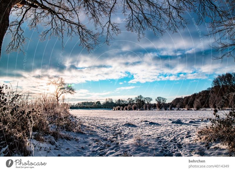 wenn kälte schönheit bringt Raureif Heimat Winterstimmung Menschenleer Außenaufnahme gefroren Landschaft Frost Bäume Idylle Wintertag Baum Landwirtschaft stille