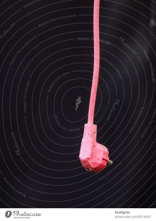Pinkfarbener Netzstecker Technik & Technologie Verbindung pink rosa Stecker Kabel Anschluss Elektrizität Energie Menschenleer Farbfoto Nahaufnahme Leitung