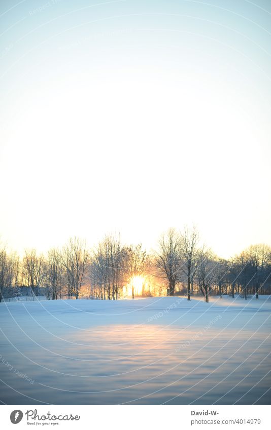 Sonnenaufgang in einer Winterlandschaft Wintertag winter Winterstimmung Schnee kalt Winterzeit winterbeginn winterlich weiß Wetter Sonnenstrahlen