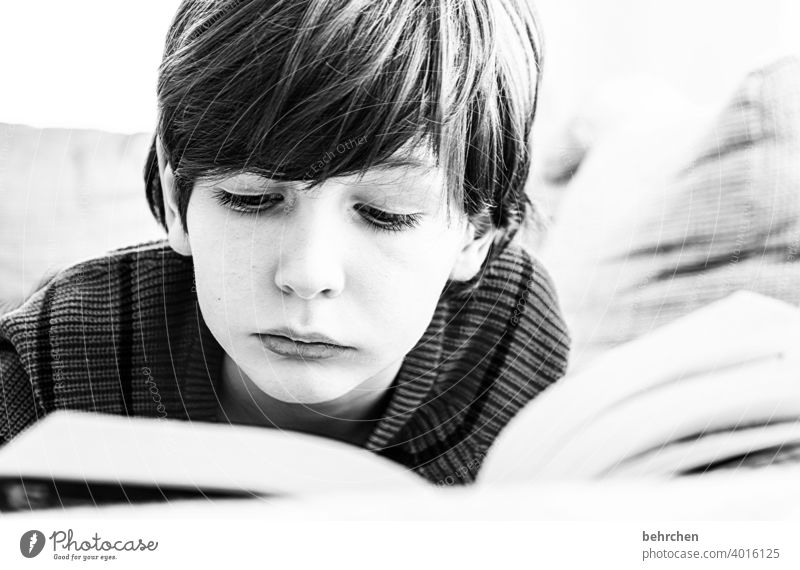 spannende geschichten Spannung Familie Sohn Interesse Kind Kindheit Junge lesen Buch Konzentration Literatur Kindererziehung Bildung lernen nachdenklich Neugier