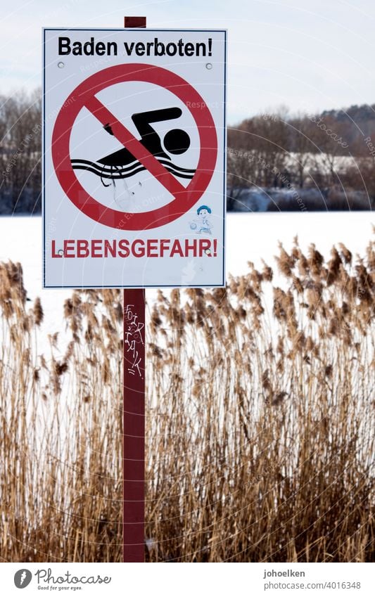 Schild "Baden Verboten" vor zugefrohrenem See Schwimmen & Baden Verbotsschild Lebensgefahr Schilfrohr zugefroren zugefrorener see Winter badeverbot