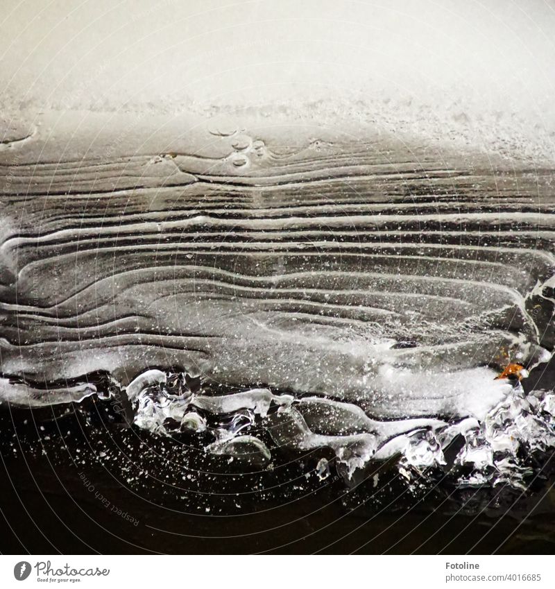 Dieses wunderschöne wellenförmige Muster wurde vom Frost an einem Bach kreiert Strukturen & Formen wellig Eis Wasser Natur Menschenleer Detailaufnahme abstrakt