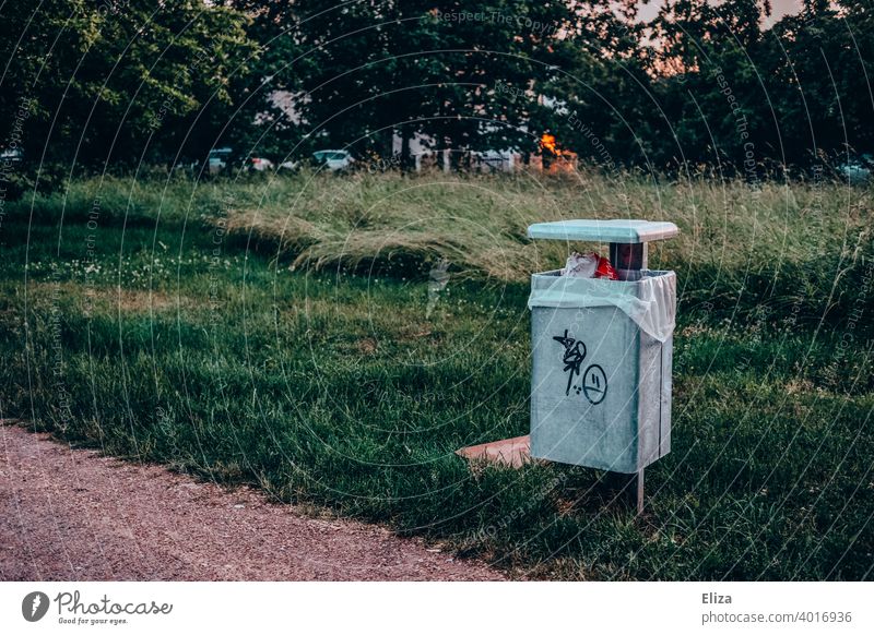 Mülleimer im Park Wiese abends grün Natur wegwerfen Abfall Müllbehälter Müllentsorgung draußen öffentlich