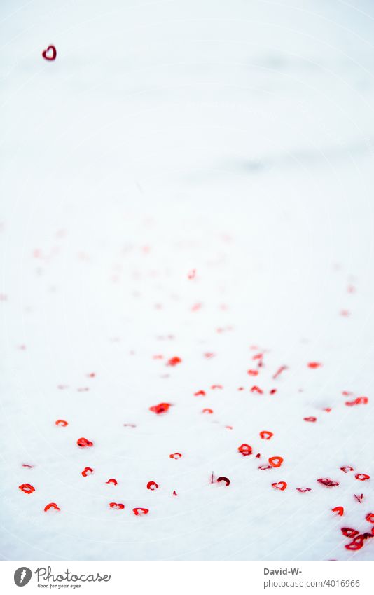 Herzen in Schnee - Liebe zum Winter winterlich verliebt herzchen Valentinstag Romantik Verliebtheit rot