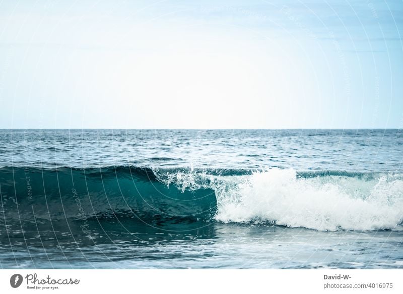 Entwicklung einer Welle im Meer Ozean blau kraft Wasser Wellen Urlaub Natur Himmel