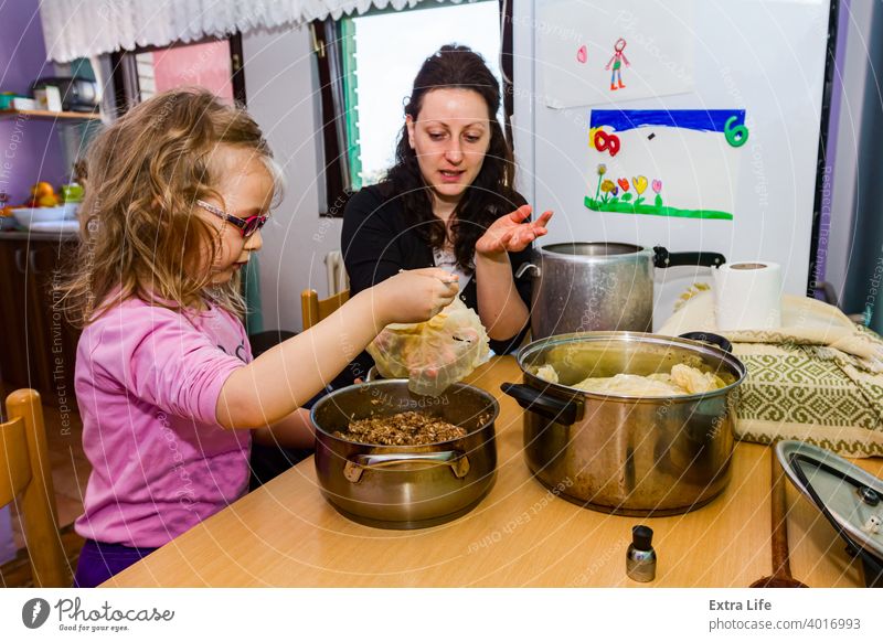 Sarma, Sauerkraut-Kohlröllchen gefüllt mit Hackfleisch und Reis Ordner Kohlgewächse Kind Kindheit Koch Essen zubereiten Küche Speise heimisch Frau besetzen