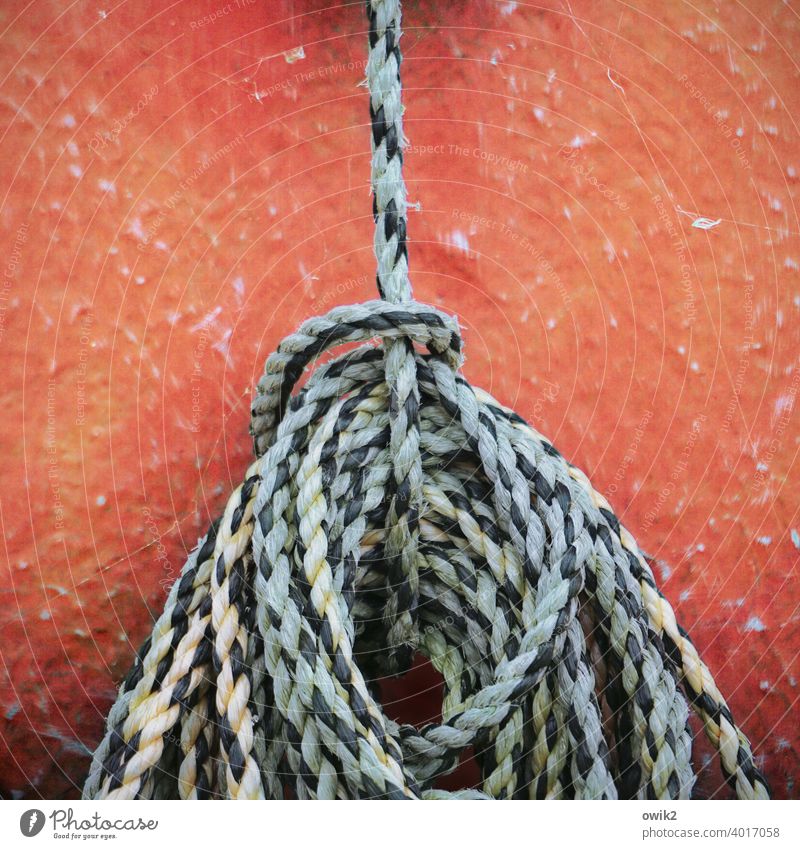 Verstrickungen Seil einfach abstrakt geduldig ruhig Pause Farbfoto Außenaufnahme Detailaufnahme fest maritim Ostsee Freizeit & Hobby hängend Boot