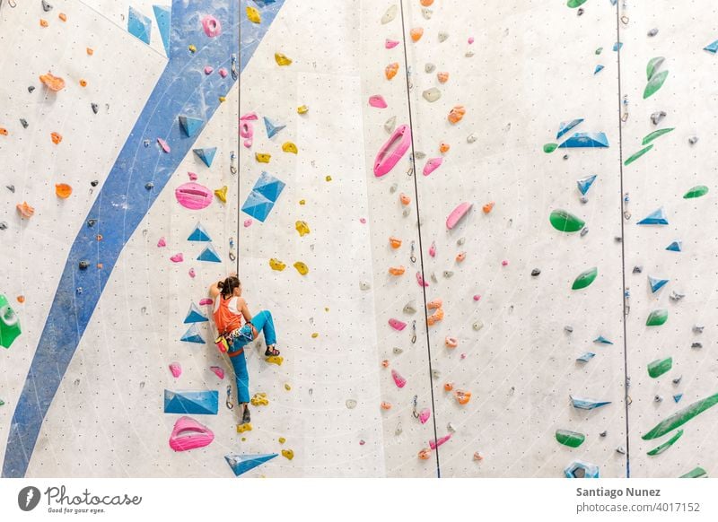 Frau beim Klettern in der Halle. Aufsteiger Rückansicht Felsen unkenntlich im Innenbereich Wand Fitnessstudio jung Training Sport Freizeit aktiv Sicherheit