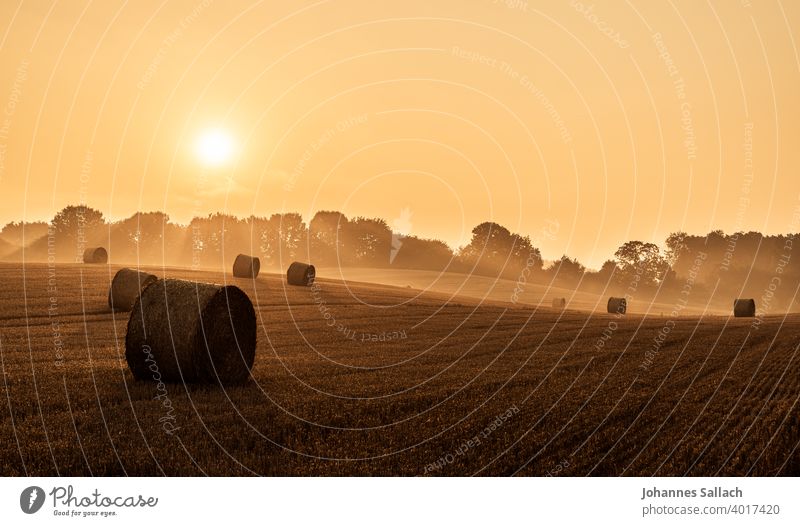 Das Stroh und die Sonne Sonnenaufgang Strohballen Feld Stimmung Stimmungsbild Landwirtschaft Himmel Heuballen Sommer Außenaufnahme Menschenleer Landschaft Licht