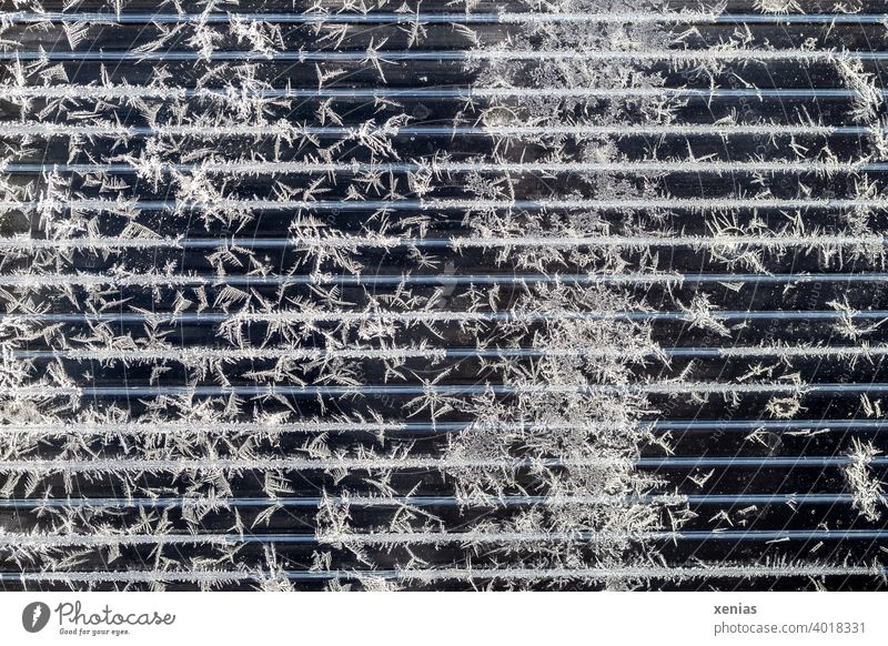 Eisstrukturen auf durchsichtigem Plastik mit Linien Eisblumen kalt Struktur Frost Winter Eisblüten gefroren Kristallstrukturen frieren Muster Kälte Scheibe