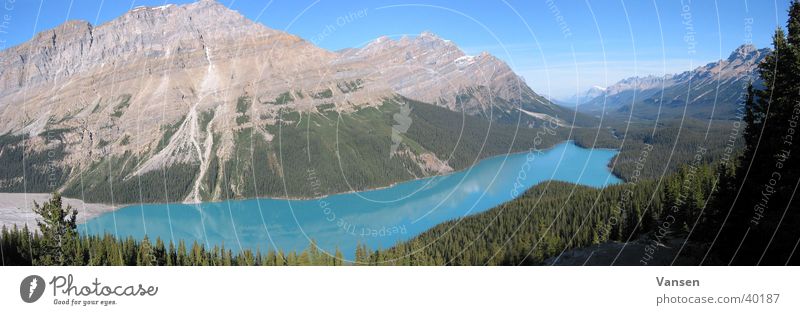 Peyto Lake See Kanada Alberta Panorama (Aussicht) groß Panorama (Bildformat)