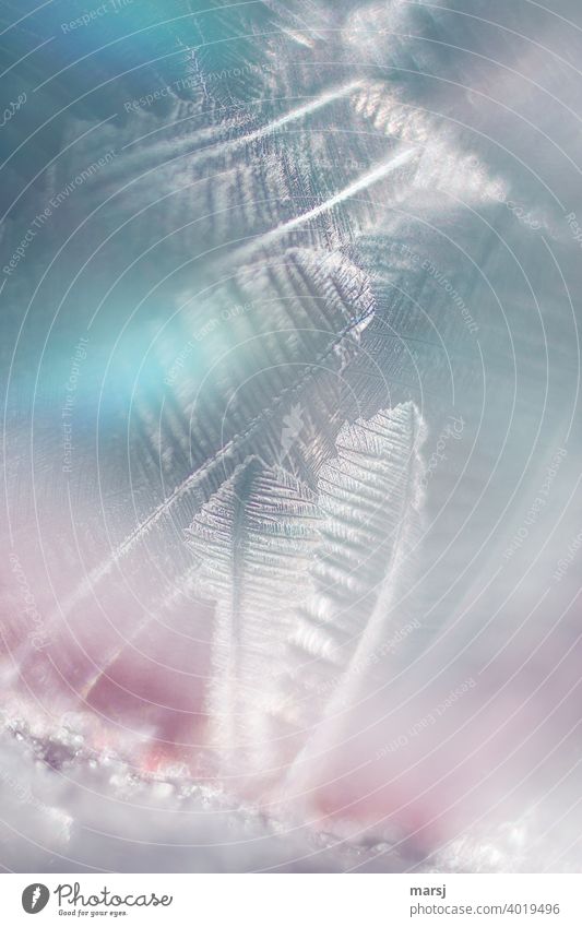 Teil, einer gefrorenen Seifenblase in Bunt ruhig gigantisch Erfolg authentisch außergewöhnlich leuchten Frost Eis Kunst Meditation harmonisch dünn