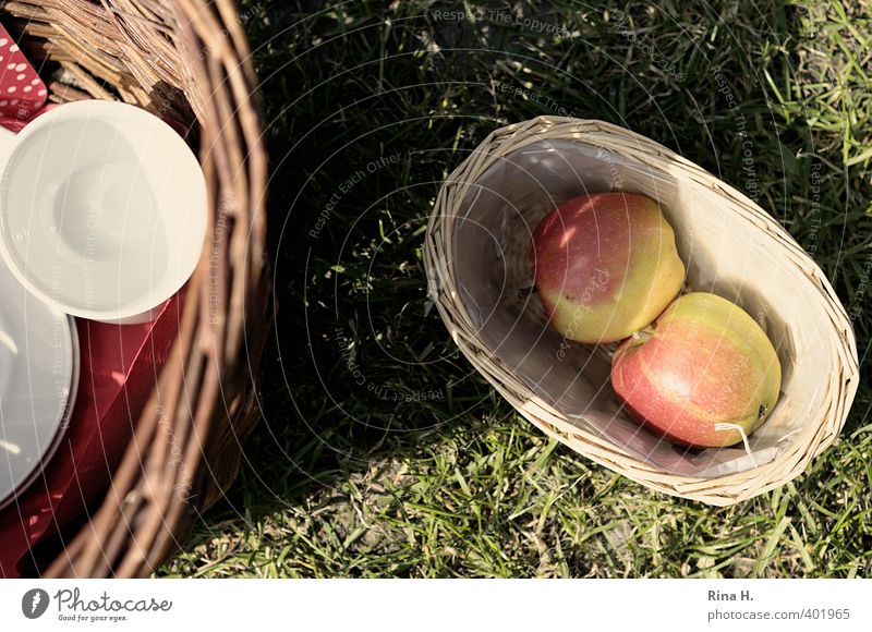 Picknick II Apfel Geschirr Tasse Lifestyle Erholung ruhig Ausflug Schönes Wetter Wiese Wärme Freude Fröhlichkeit Lebensfreude Weidenkorb Korb Farbfoto