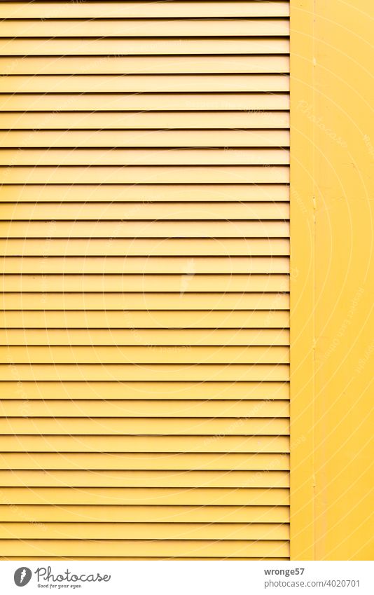 Detail eines gelben Bürocontainers Container gelber Container Baucontainer Nahaufnahme Ausschnitt Baustelle Außenaufnahme Menschenleer Farbfoto Tag Metall Wand