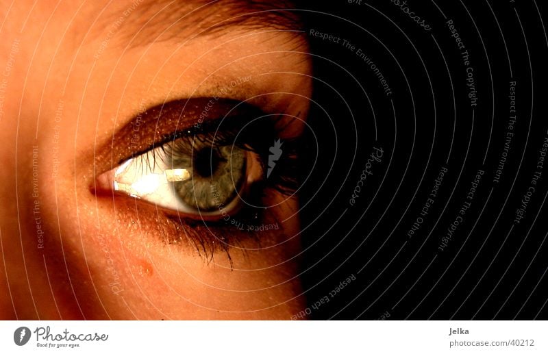 Auge Gesicht feminin Frau Erwachsene Sinnesorgane Wimpern face eye eyes mehrfarbig Studioaufnahme Textfreiraum rechts Kunstlicht Licht Schatten Blick nach vorn