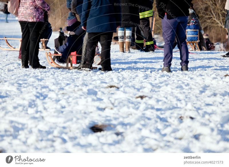 Menschen auf dem Rodelberg berlin eis februar ferien frost jenuar kalt kälte neuschnee stadt urban winter winterferien januar rodeln menschen gruppe wochenende