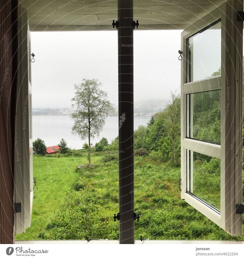 Blick aus dem Fenster auf den Fjord Fernweh Sehnsucht Natur Norwegen ausblick Sprossenfenster Fensterblick Ferien & Urlaub & Reisen Menschenleer Tag