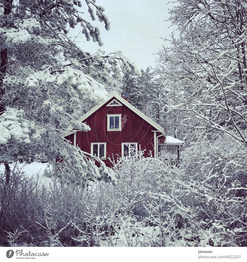 Rotes Schwedenhaus im Schnee Winter Winterstimmung winterlich Wintertag rot Holz Holzhaus schwedenrot weiß schneebedeckt skandinavisch Skandinavien Smaland kalt