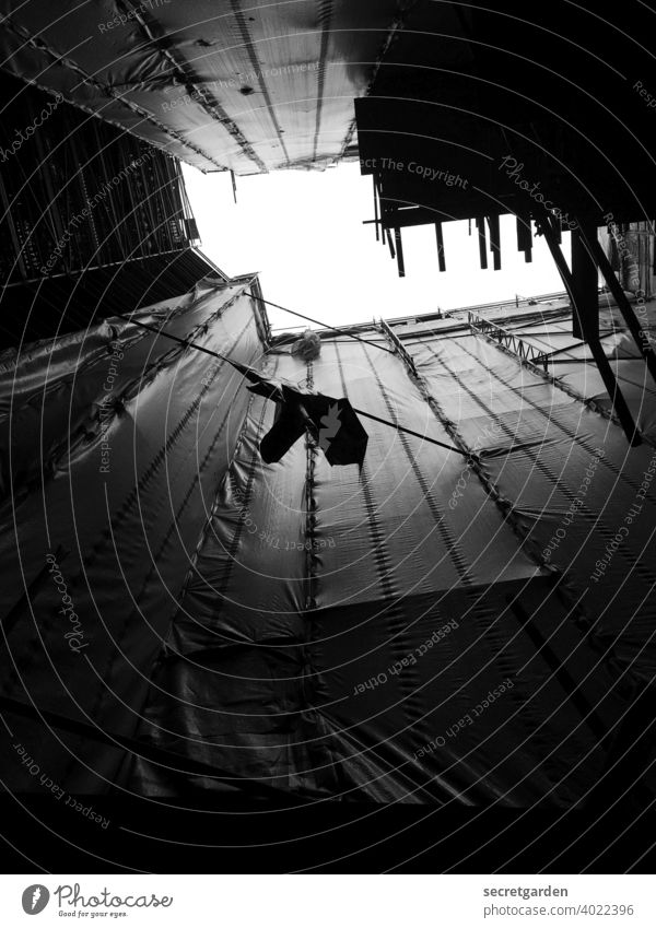Tunnelblick. Architektur Tunneleffekt Hochhaus hoch Menschenleer Froschperspektive Gebäude Tag Sanieren Umbauen Baustelle Gerüst Schwarzweißfoto schwarz