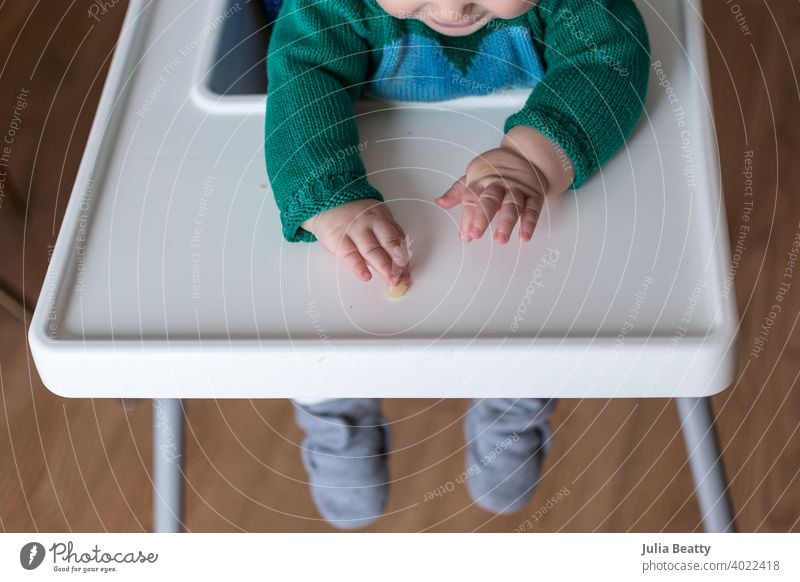 Junges Baby greift nach einem mundgerechten Stück Nahrung auf dem Tablett des Hochstuhls; babygeführte Entwöhnung Säugling Kind 6 Monate alt Fingerfood