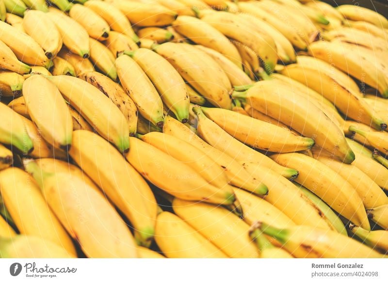 Banane im Lebensmittelladen. Konzept der gesunden Ernährung, Bio, vegetarisch, Diät. Selektiver Fokus. Lifestyle essen veggies appetitlich ganz BananenFrucht