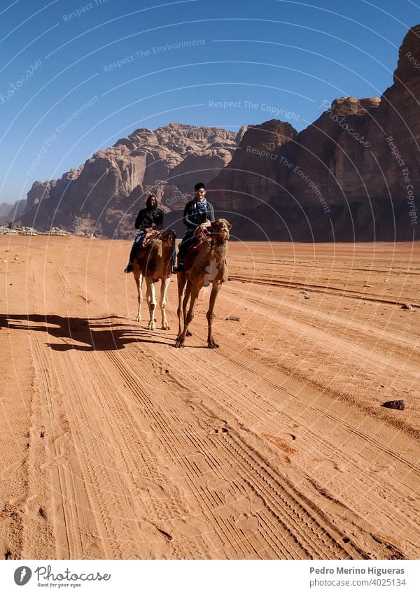 Zwei Männer reiten auf einem Kamel in der Wüste Wadi Rum. Jordanien Düne Camel Arabien Sand Leben Reittier arabisch blau Wildnis Osten Felsen menschlich Tier