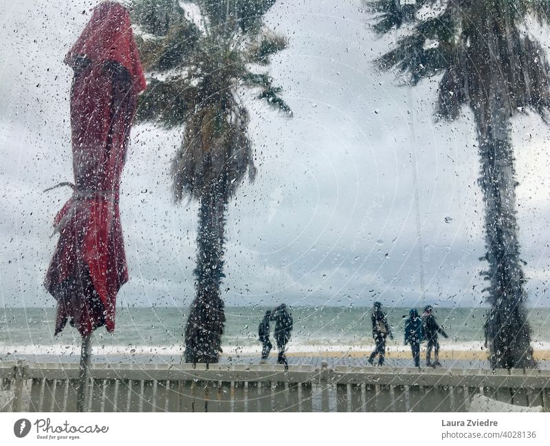 Regentropfen auf dem Fenster Wind Wassertropfen Natur Pflanze Palme Meer Strand Menschen Tropfen schlechtes Wetter Herbst nass Farbfoto Detailaufnahme Tag