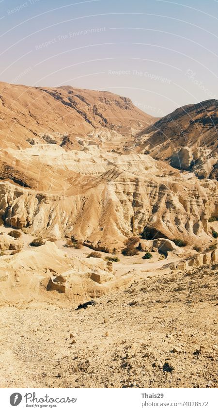 Wunderschöne Landschaft des israelischen Judäischen Wüstengebirges, mit trockenem Flussbett, beliebter Wanderweg, der sich zwischen schroffen Felsklippen in Richtung Totes Meer schlängelt