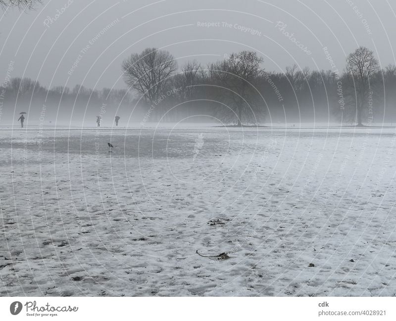Nebellandschaft Park Winter Schnee Tauwetter Landschaft Bäume Menschen Spaziergänger Vogel Krähe 3 Personen monochrom Stimmung triste tristesse grau